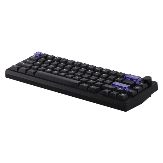 EPOMAKER Magcore65 Lite